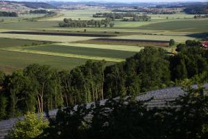 Polje- RDO-2011